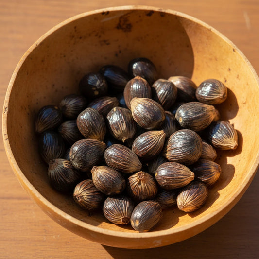 4 eyed IFA Inkin sold at Botanica Aragba Yomilo