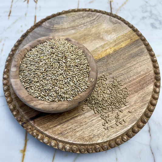 Alpistre (Canary Seed) sold at Botanica Aragba Yomilo
