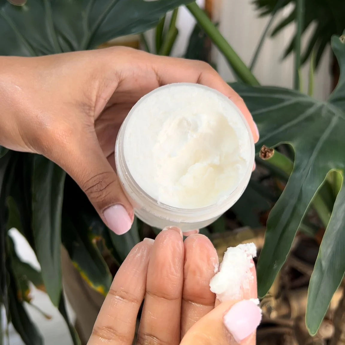 Shea Butter 1oz. sold at Botanica Aragba Yomilo